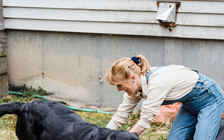 Is it possible to create a pet-friendly outdoor space with grass alternatives, groundcovers, and safe plants?